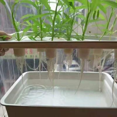 China Het aangepaste Hydroponic Diepe Systeem van de Watercultuur voor Medische Installaties Te koop