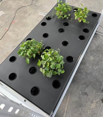 China 5ft*15ft Groeiende het Systeem40pcs Gaten van Cannabisaeroponics voor Verticaal Rek Te koop