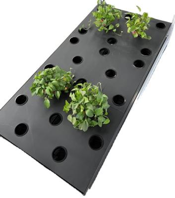 Chine Pp Aeroponic élèvent la boîte de clonage hydroponique de la taille 15cm de système à vendre