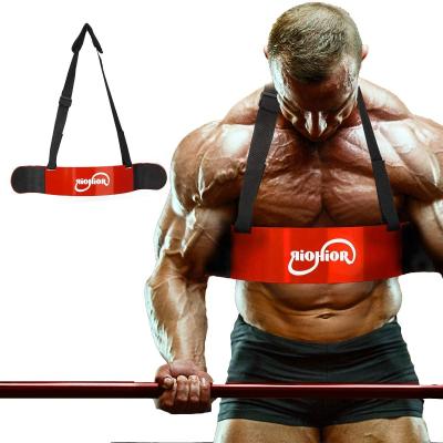 China Fitness Training Free Shipping USA Triceps Muscle Aluminum Weightlifting Loop Weightlifting Muscle Biceps Arm Blaster for sale