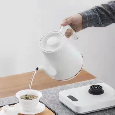 China Kettle Small 600ML 304 Stainless Temperature Control Promotion Keep Hot Function Adjustable Temperature Digital Glass Electric Kettle With Tea for sale