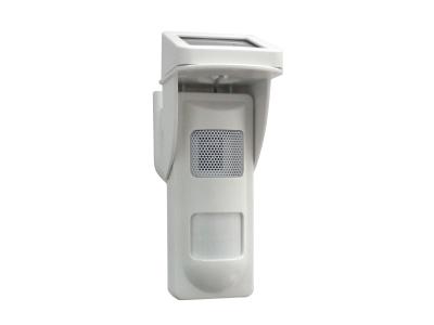 China Outdoor Independent Voice  Alarm Motion Detectors With Solar Power for sale