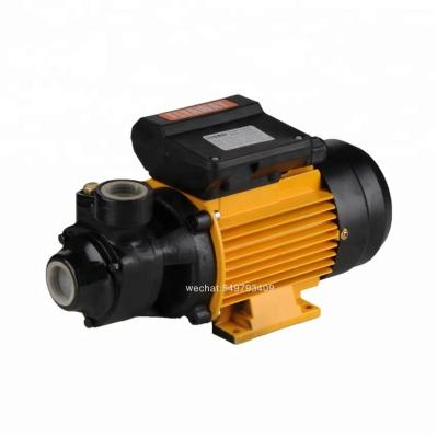 China 01006 Family Houses GPm60 Series Taizhou Wenling Household Electric Water Pump for sale