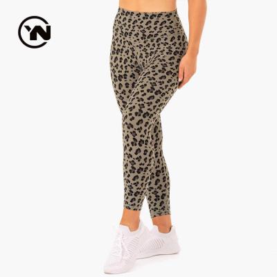 China China Women High Waisted Breathable Custom Leopard Print Fitness Gaiters Tummy Control Legging Unique Yoga Pants for sale