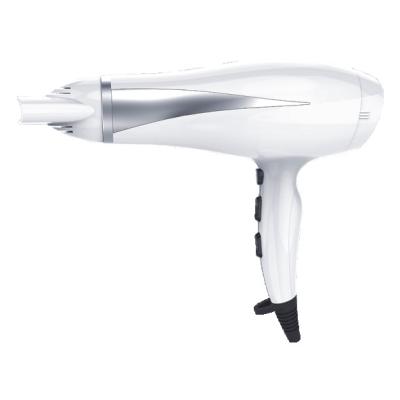 China 2000W Ionic Professional Hot Selling Hair Dryer Salon Hair Dryer Power Cord AC Motor for sale