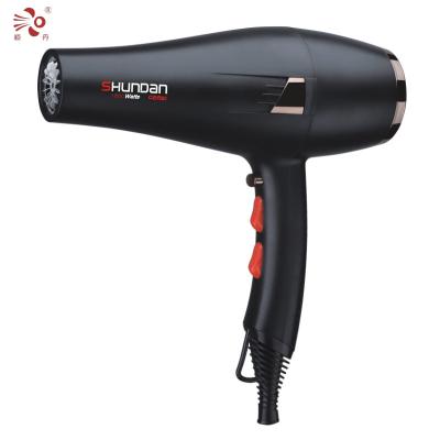 China Hair Heating Lamp Fashion Professional High Temperature Hair Dryer For Household for sale