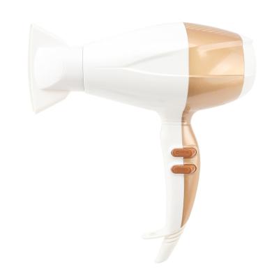 China 2022 Modes Ionic Design Hot Sale Household Hair Dryer Shape Hair Dryer Blow Dryer for sale