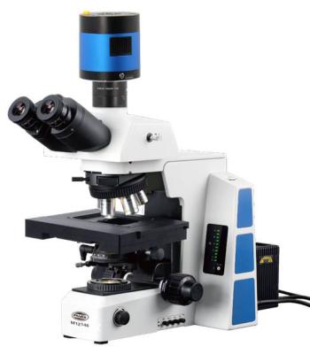 China Research Level 3D Semi-Auto Laboratory biological microscope en venta