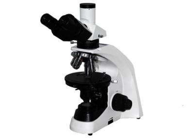 Cina Fase educativa di Microscope With Mechanical dello studente del corredo WF10X/20mm del microscopio di Trinocular in vendita