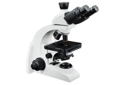 Cina Microscopio biologico portatile educativo del microscopio 1000x WF10X Trinocular in vendita