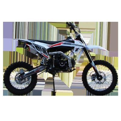 China Gasoline Other Cool 125cc Air Kick Motorcycle and Electric Start Road Pit Bike Adult 4 Stroke Big Wheel Dirt Bike YIKU-DB01 for sale