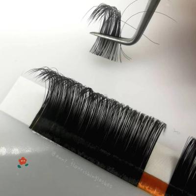 China Natural dropshipping luxury long mink eyelashes individual fanning volume 8-17mm private label blooming lashes lashes extensions for sale