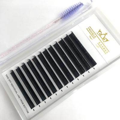 China Natural Private Label Long False Eyelashes Mega Silk Volume Russian Lash Fast Blossom Foil Lash Extensions for sale