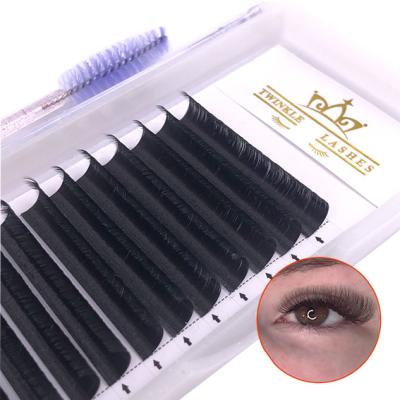 China Wholesale Natural Mega Volume False Eyelashes Easy Long Fan Lash 0.05 0.07 One Second Eyelash Extensions for sale