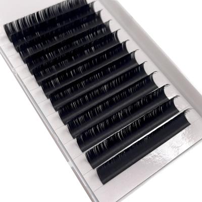 China High Quality Cashmere Eyelash Extensions Faux Mink Flat Matte Black 0.15 Natural 0.20 Mm Ellipse Flat Lashes for sale