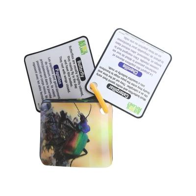 China Education Customized Educational 3D Study Cards English Flashcards For Kids for sale