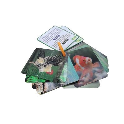 China Wholesale Education Child Intelligence High Quality 3D Study Cards Early Education Arithmetic Card for sale