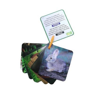 China Education Custom Design Thick Game Cards Study Game Education 3D Flash Cards Printed Flash Cards for sale