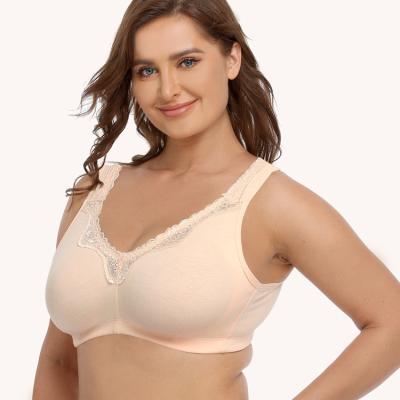 China Custom Logo Female Organic Cotton Big Breasted Ultrathin Anti-Static Cup Plus Size Sexy Women's Underwear Bra for sale