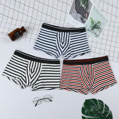 China Spandex/spandex cotton boxer boy sexy underwear business men's underwear cotton stripe trend underwear single waist low stripe youth for sale