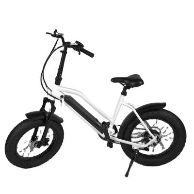 China Steel Electric Bicycle 250w Snow Bike For Adult City Use With Battery for sale