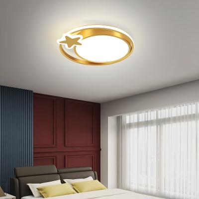 China Factory New Warm Design LED Ceiling Light Outdoor Mounted Star Shape Lighting For Living Room Decor Gold Ceiling Lamp Fixture for sale