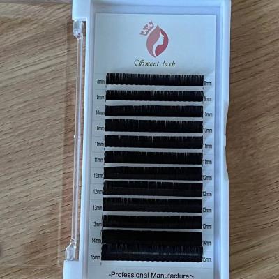 China Natural Eyelash Extension Classic Lashes 0.1/0.12/0.15/0.18/0.2/0.25mm Wholesale for sale