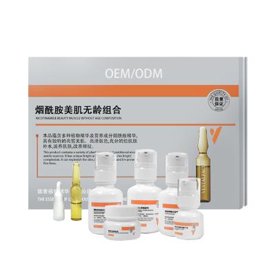 China Whitening Moisturizing Repair Skin OEM/ODM Private Logo Beauty Skin Care Products Whitening Repair Moisturizing Detergent Nicotinamide Skin Care Facial Set for sale