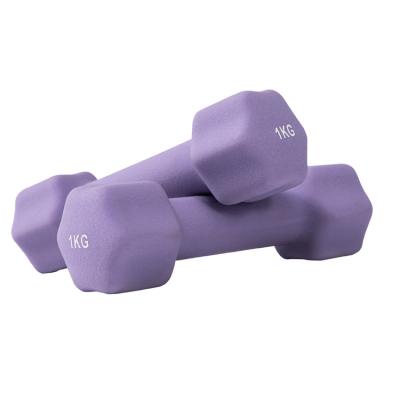 China High Quality Fitness Dumbbell Fitness Dumbbell Weighs Plum Blossom Shape Dumbbell for sale