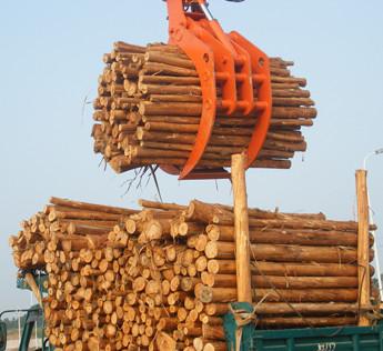 China Powerful Excavator Grab Attachment Hydraulic Timber Grab / Excavators Wood Grapple for sale