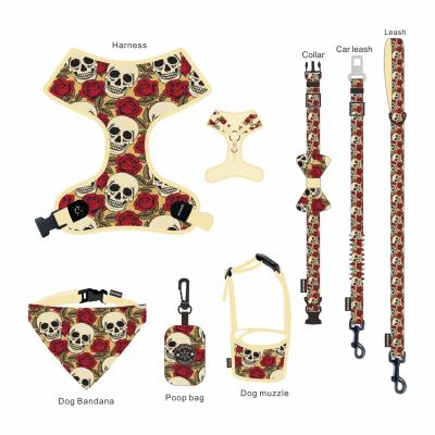 China Personalized Classic Soft Padded Dog Collar and Leash for Pet Cat Dog Harness Leash Collar Set for sale