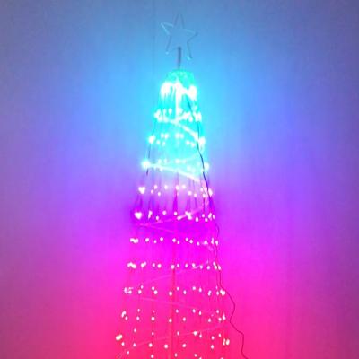 China 10M-100LED-Transparent Wire WS2812B RGB LED String Dream Color Addressable 5m 50 LED Party Lights WS2812 Birthday Decoration Light DC 5V Individually for sale