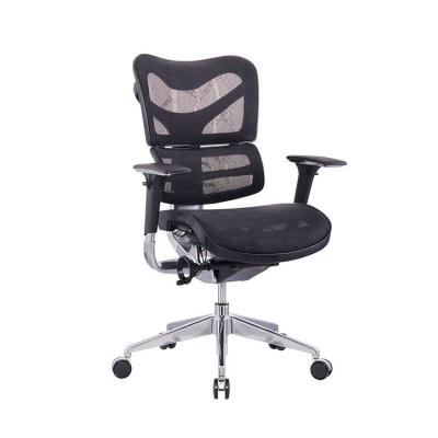 China (Size) OFC Manufacturer Commercial Furniture High Adjustable Back Mesh Office Chair for Bad Back for sale