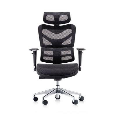 China Hot Selling Adjustable Commercial Furniture High Back (Waist) Mesh Ergo Swivel Desk Chair Breathable With Lumbar for sale