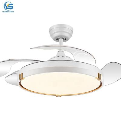 China Y017 Modern Remote Control Retractable Fan Light With Lights Lamp Led Designer Luz Con Ventilador Oculto T for sale