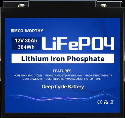 China Toys Eco-Worthy Deep Cycle Life 12V 30Ah Lifepo4  Lithium Ion Battery With Uninterruptible Power Supply For Solar System for sale