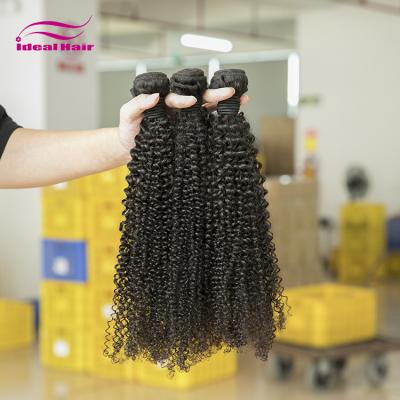 China Cuticle Aligned Malaysian Kinky Curly Bundles 100% Raw Virgin Curly Curly Hair Bundles,Unprocessed Malaysian Hair,Cuticle Aligned Kinky Hair for sale