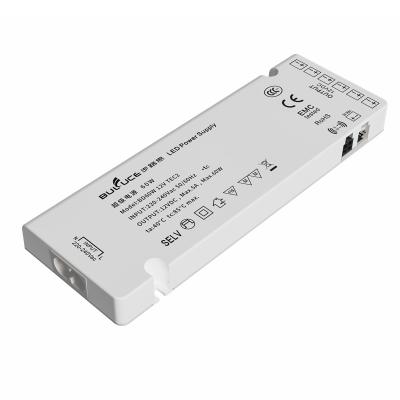 China Hot Selling Constant Voltage 198V-264V Loadregulation 5% 1 KV 12V 60W Led Light Power Supply BD-60W12VTEC2 for sale