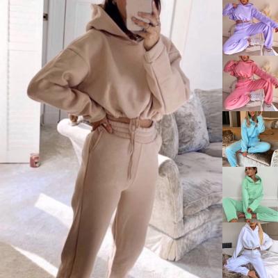 China Viable Women 2 Piece Set Hooded Pullover Hoodies One Plus Size Simple Purple Home Sweatpants Custom Ladies Crop Casual Sets for sale