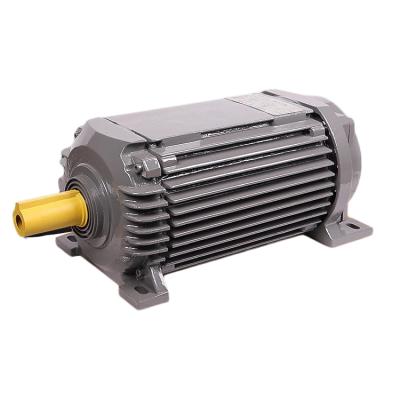 China High Quality Electric Motor Italy Model High Power Electric Motor 2950rpm 380v 50hz Forklift Electric Motor For Forklift for sale