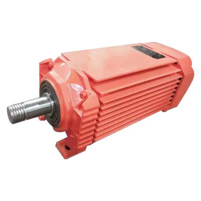 China Guaranteed Electric Motor Quality Italy AC Electric Motor Three Phase High Power Motor With Low Center Height for sale