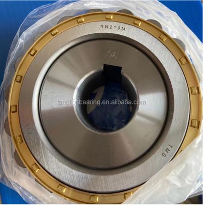 China Low Noise RN219M Cylindrical Roller Bearing Single Row Eccentric Bearing Eccentric Bearing For Speed ​​Reducer Bearing for sale