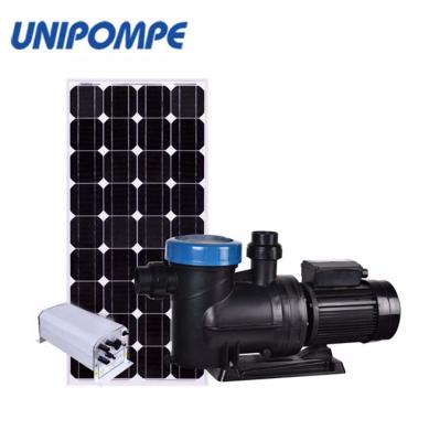 China Buildings Commercial DC 24V Solar Swimming Pool Water Pump for sale