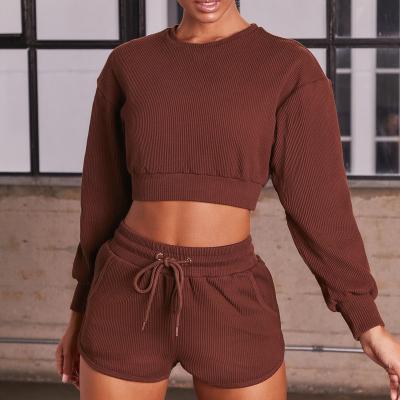 China QUICK DRY Arrivals Solid Rib Collar Long Sleeve Pullover Crop Top 2 Pieces Women Workout Shorts Set Running Shorts Sweatsuits 2 Pieces for sale