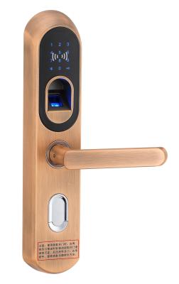 Chine Serrures de porte biométriques Keyless extérieures d'empreinte digitale avec le Deadbolt à vendre