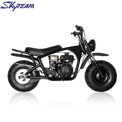 China SKYTEAM CE APPOVED 220cc Two Wheel Mini Bike Kid Gas Dirt Gas Powered Bike 3.6L for sale