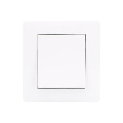 China Fashion Security Hidden Installation Simplicity RTS-1gang 2 Way 10a 220v Eu Wall Type Power Switch for sale