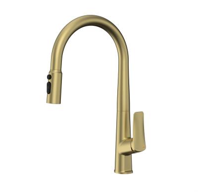 China Pull Out Hot And Cold Kitchen Sink Gold Faucet Pull Out Kitchen Mixer Tap for sale