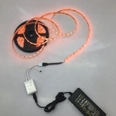 China led strip light 150leds smd 5050 rgb ip20 ip65 waterproof led strip light with power remote adapter +12v 3a 5a 24key 44key controller full set for sale