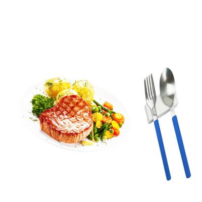 China New Viable High Quality Reusable Blue Stainless Steel Cutlery Set Detachable 2PCS Tableware Set For Daily Meals for sale